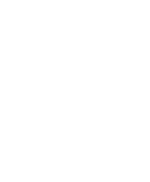 Genius Academy
